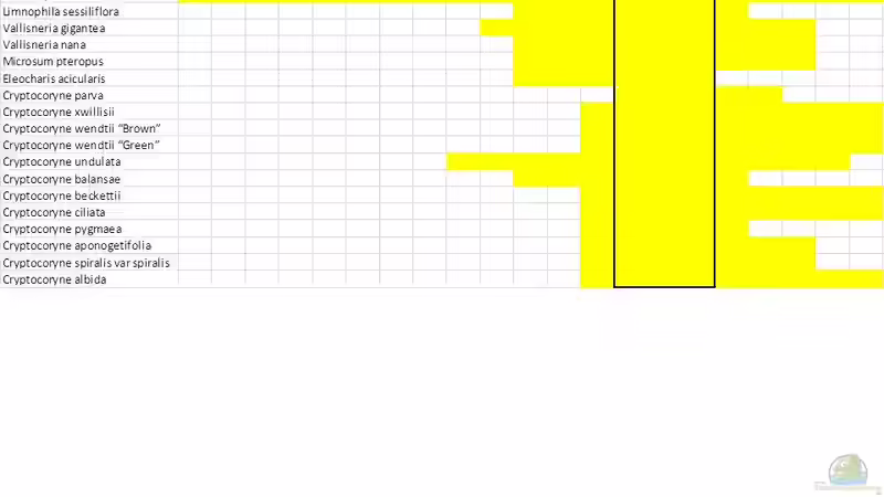 Pflanzen im Aquarium Me equivocaria otra vez II von lomarraco (20)