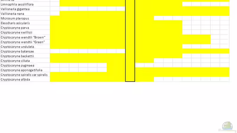 Pflanzen im Aquarium Me equivocaria otra vez II von lomarraco (21)