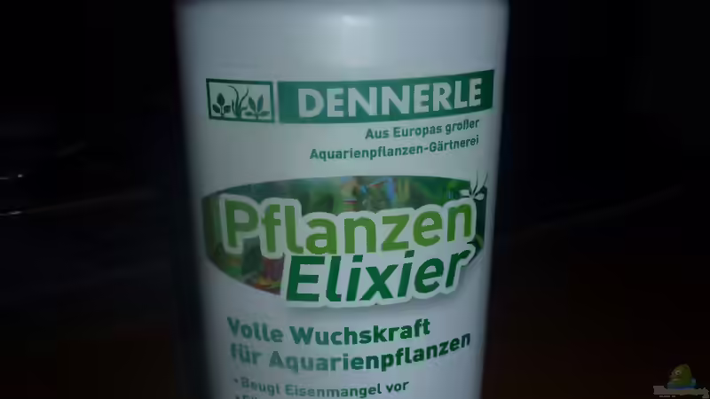 Pflanzen im Aquarium Mein erstes AQ Lido 120 von Mario Bösch (9)