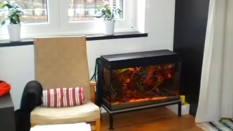 Pflanzen im Aquarium Rio Negro Motto Becken Nur noch als Bsp. von Benjamin Hamann (10)