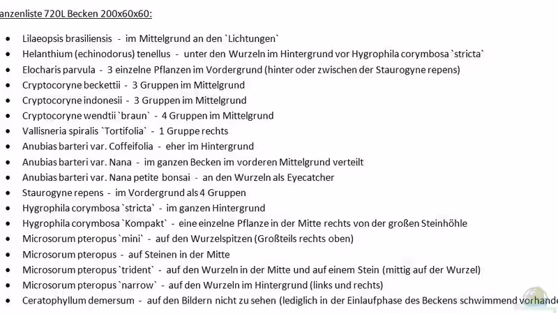 Pflanzen im Aquarium South Afrika Dream Scape von MalawiMartin (8)