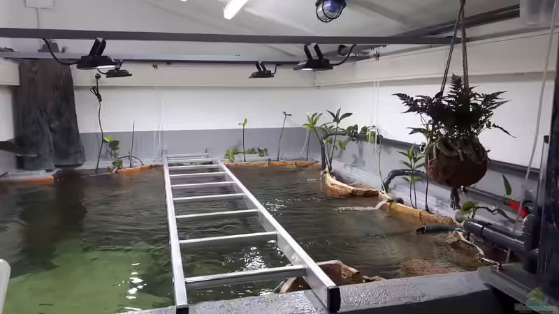 Pflanzen in den Modulen von 8 CBM (36)