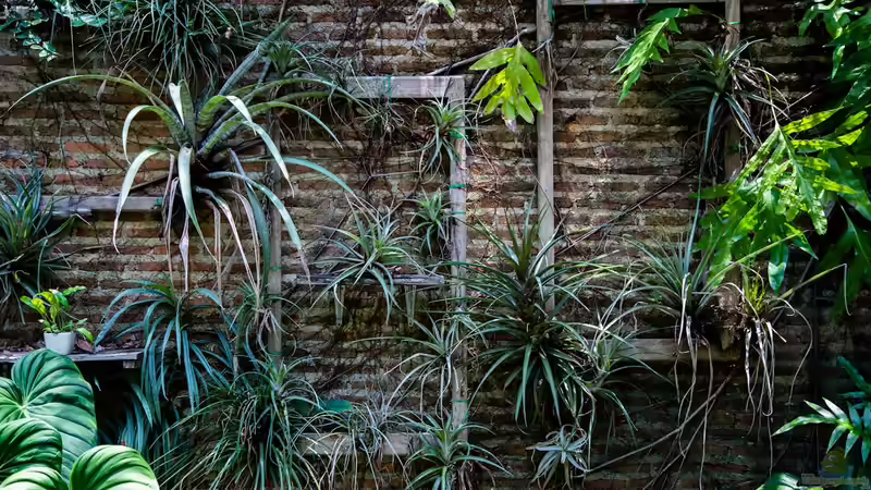 Pflanzen mieten oder leasen - bald auch ein Trend für zuhause?