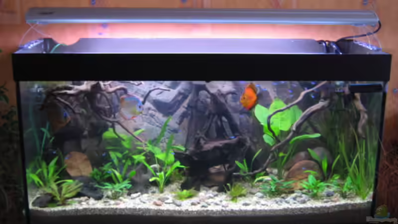 Pflanzen müssen noch wachsen von Marie-Christin (2)