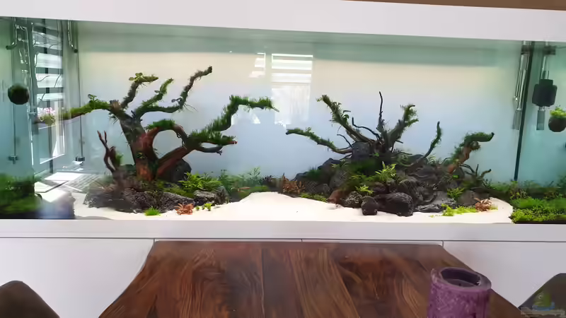 Pflanzen nach 3 Wochen Laufzeit  von Tobi2013 (32)