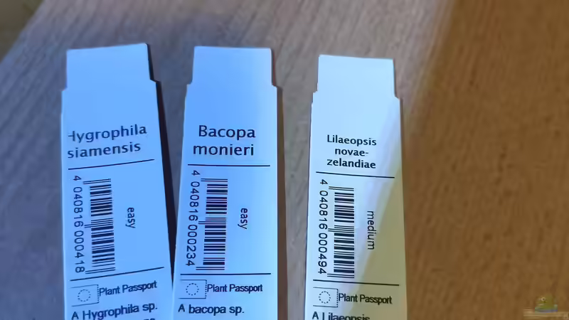 Pflanzen Schilder von HOTU (7)