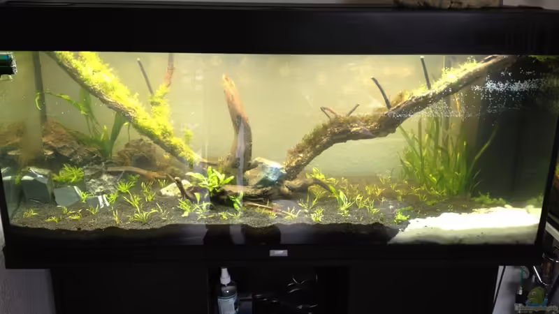 Pflanzenbesatz April 2012 von xstedt (3)