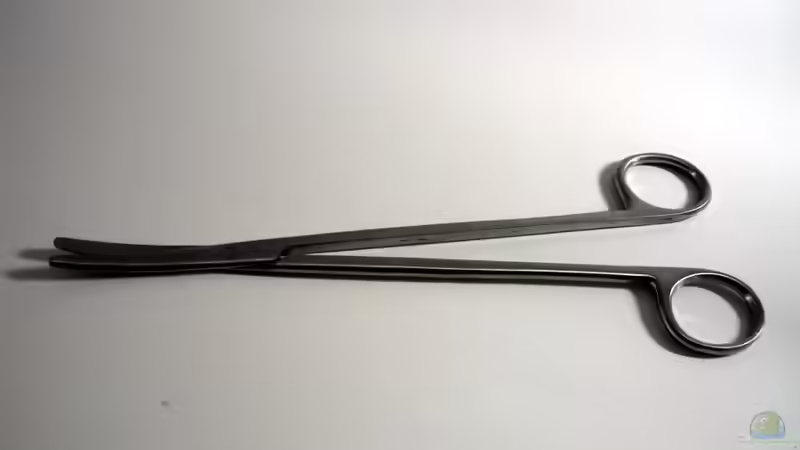 Pflanzenschere  von Chris_R. (35)