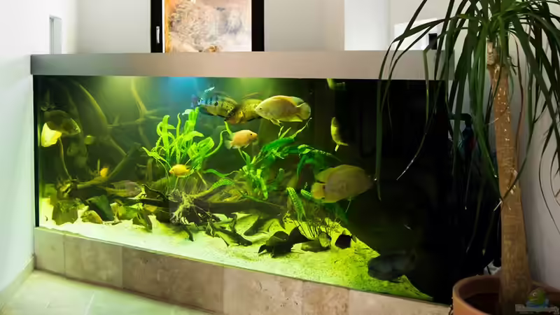 pflanzentest.... hoffe sie überleben von Nico Beyer (15)