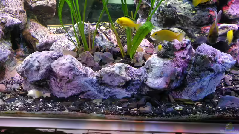 ???Pflanzentopf???  2 von Irzzz (18)