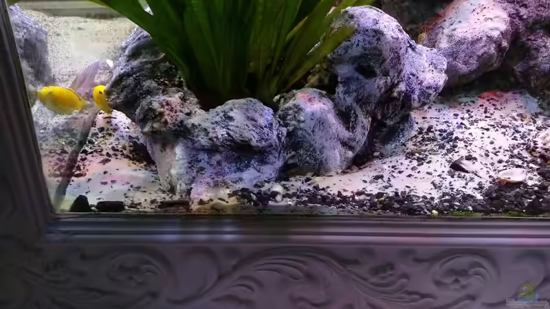 ???Pflanzentopf??? 3 von Irzzz (19)