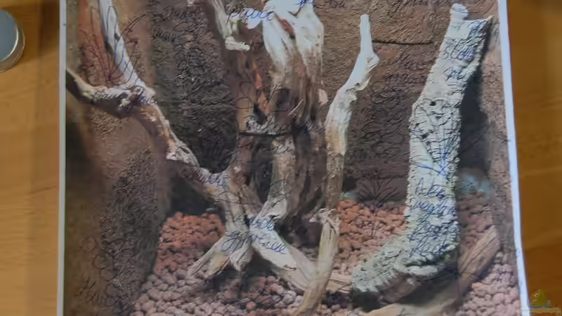 Pflanzplan ;) von Junglist (27)