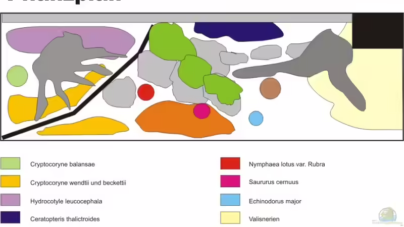 Pflanzplan von mgrafix (2)