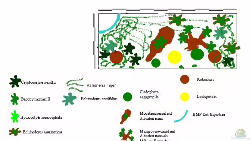 Pflanzplan von Oliver Röder (8)