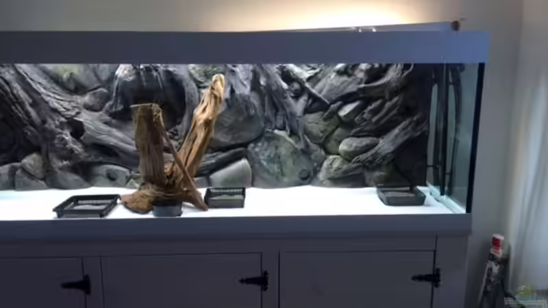 Pflanzschalen verteilt von Captain Gü (37)