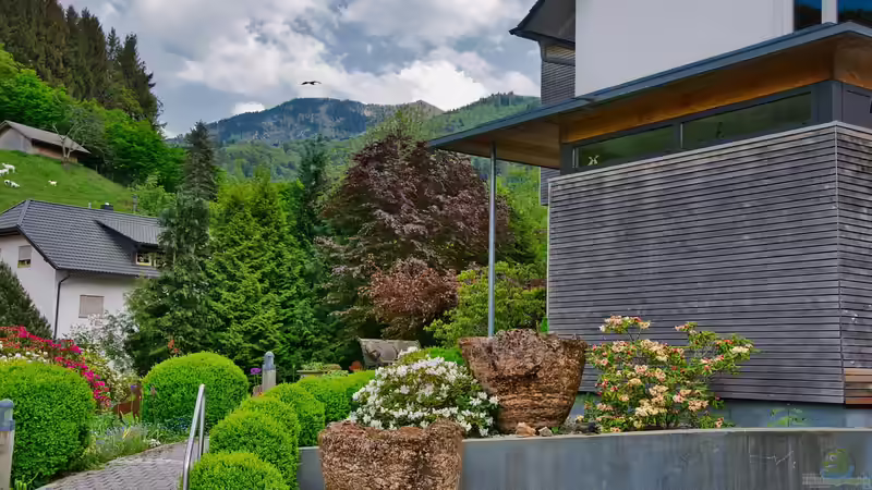 Pflegeleichte Pflanzen für den Vorgarten - Der große Ratgeber für einen schönen, unkomplizierten ersten Eindruck