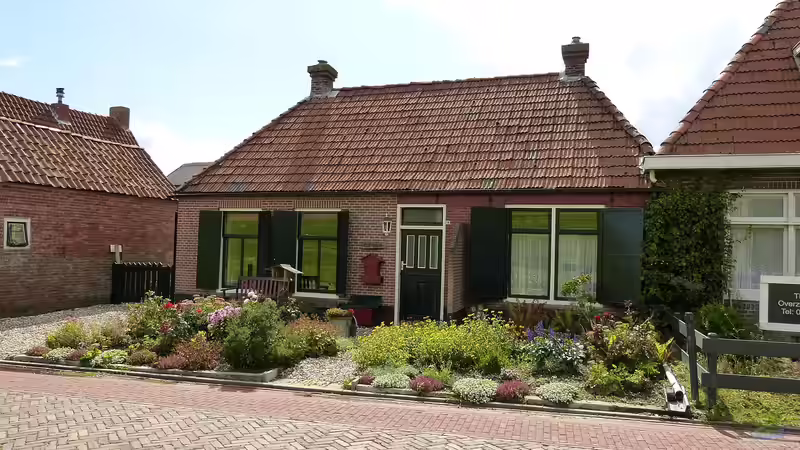 Pflegeleichte Pflanzen für den Vorgarten - Der große Ratgeber für einen schönen, unkomplizierten ersten Eindruck