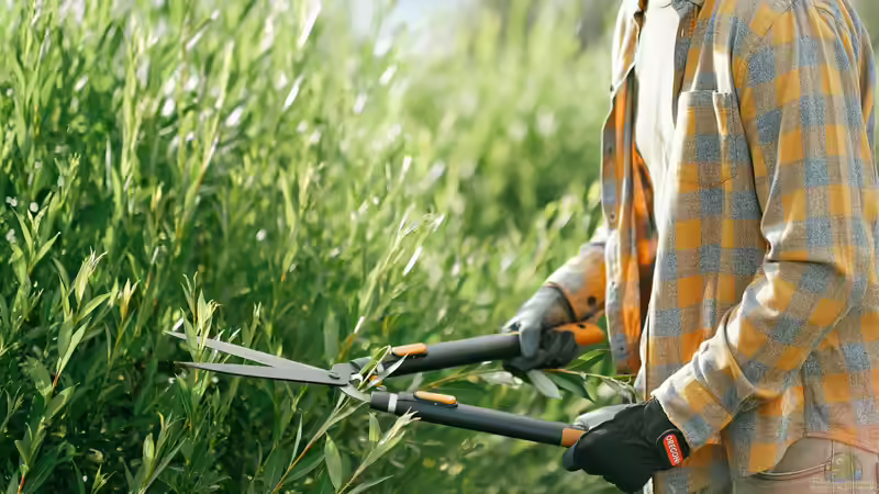Pflegemaßnahmen im August: Jetzt den Garten sanft in den Spätsommer führen