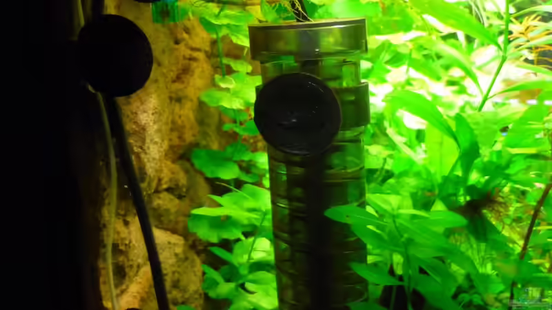 PH-Elecktrode, CO2 Reacktor und Temperatursensor von Sabrina & Dirk Bergmann (46)