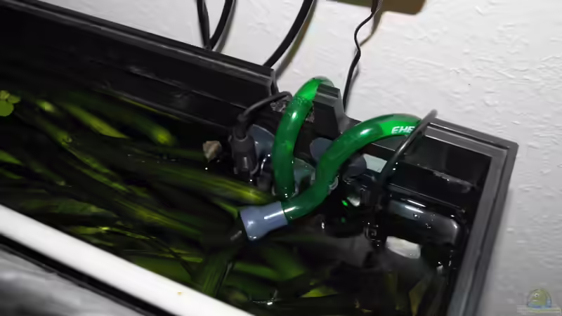 PH-Elektrode, Temperatursensor, Wasseraus- und einlauf von Theresa Horak (10)