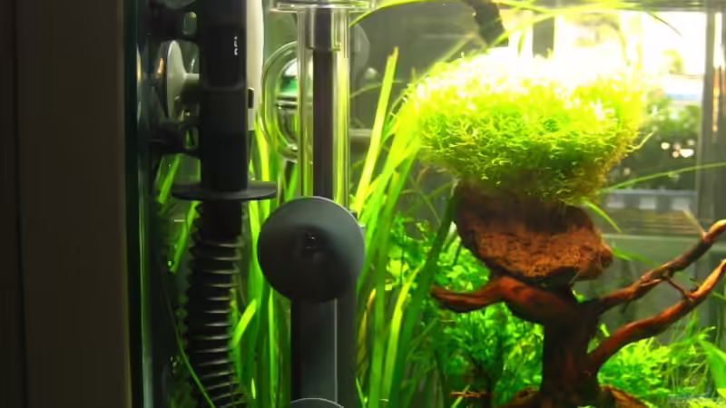 PH-Elektrode und Fluval-Oberflächenabsauger von AquaTropica CGN (17)