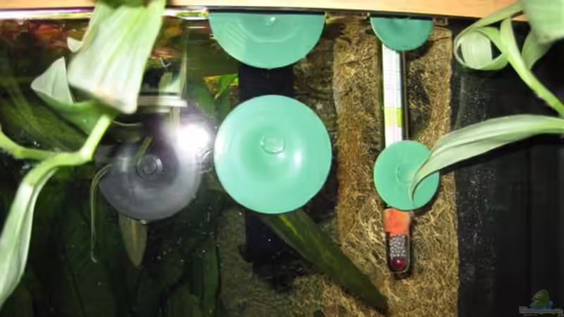 PH Elektrode von Jogi (29)