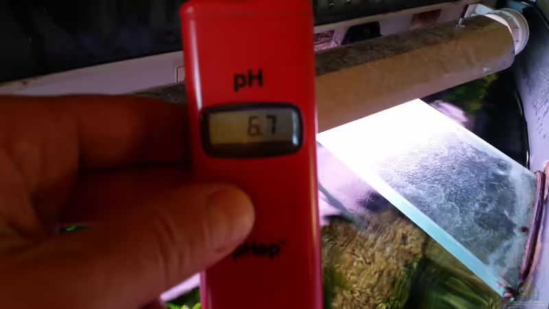 pH Messung von Gigi (23)