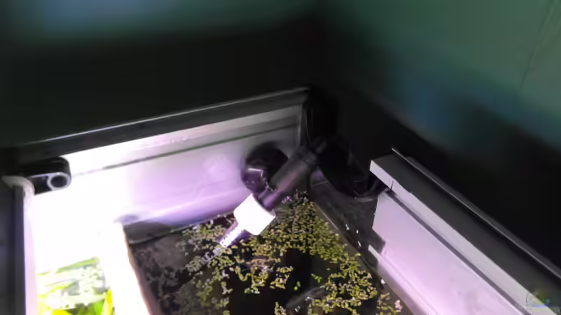 PH Sonde von Intershrimpview (79)