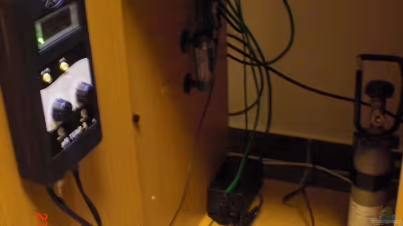 Ph-Wert und Temperatursteuerung von Misterdaddy (18)