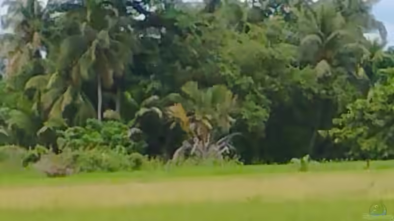 Philippinen