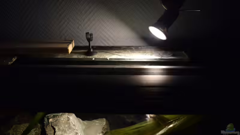 Philips 6,5 Watt LED von Bowa (26)