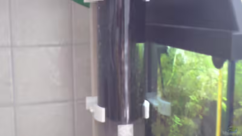 Phosphatfilter Extern von Milehigh H (11)