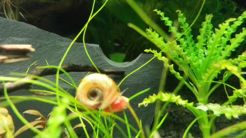 PHS von Marcel Witt (18)