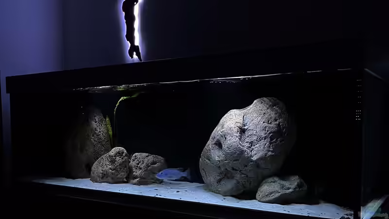 pimpmytank ???????? von malawidortmund (2)