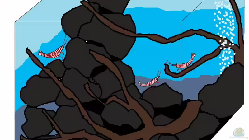 Plan meiner neuesten Missetat ;-) von Caricciola (1)