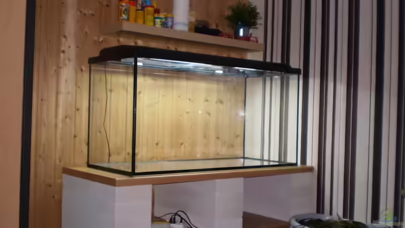 Planschbecken aufgestellt von Ralf Horsthemke (5)