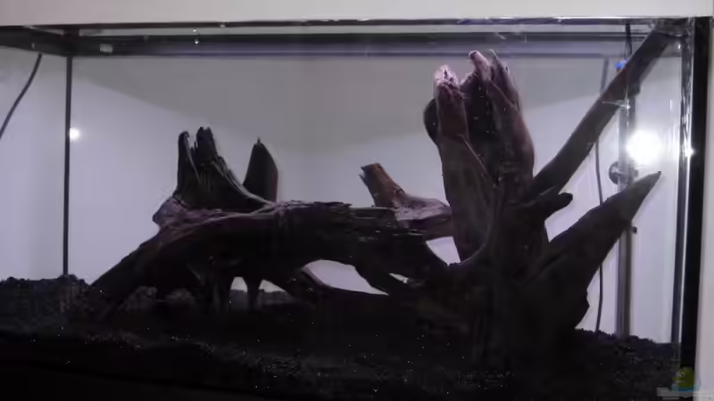 Planung von Robbie (15)