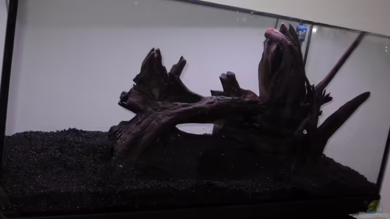 Planung von Robbie (16)