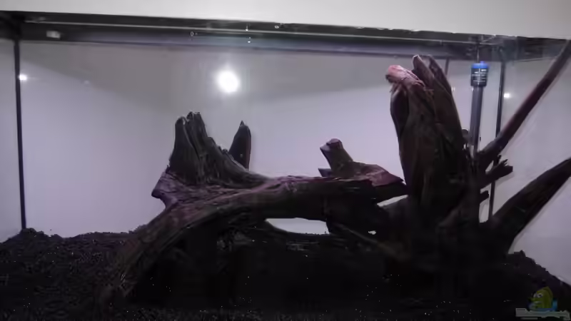 Planung von Robbie (17)