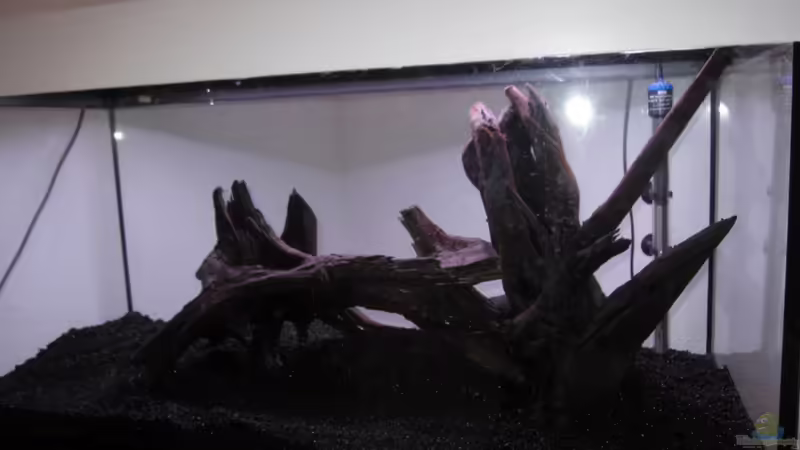 Planung von Robbie (18)