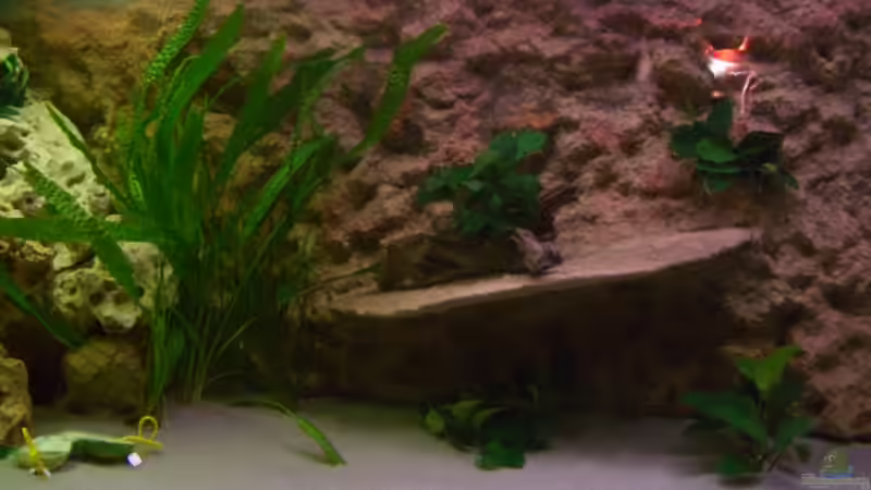 Platte (aus Styro) wurde in die Rückwand eingebaut. von Christof Brixner (16)