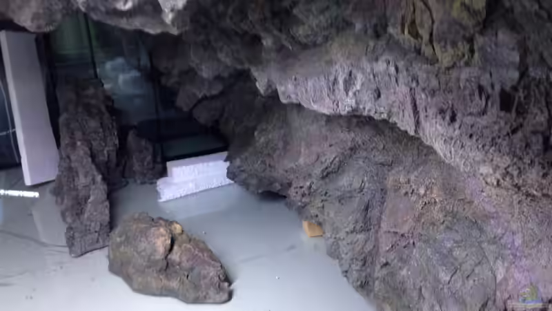 Platziert, aber nicht endgültig ... von Tooooni (12)