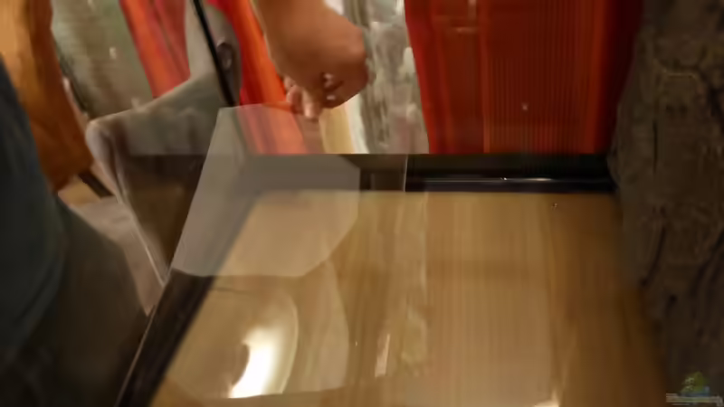 Plexiglas dann ins Becken legen von AchimSaar (17)