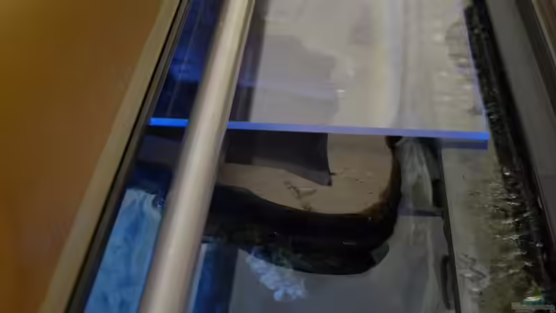 Plexiglas mit hängenden Felsen. Zu sehen ist auch noch eine Neonröhre die nicht mehr in Betrieb ist.   von Steffen S. (22)