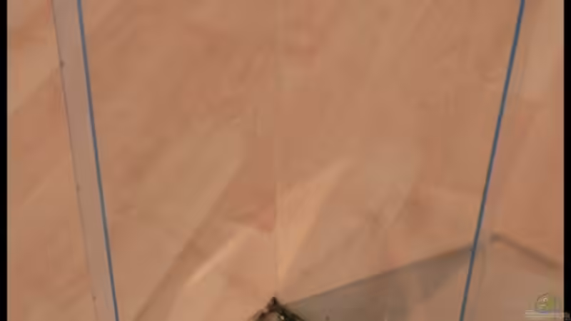 Plexiglasgehäuse für den HMF von Lars T. (13)