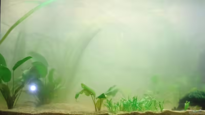 plus Wasseraufbereiter FFM von easy life von Sirko Fricke (14)