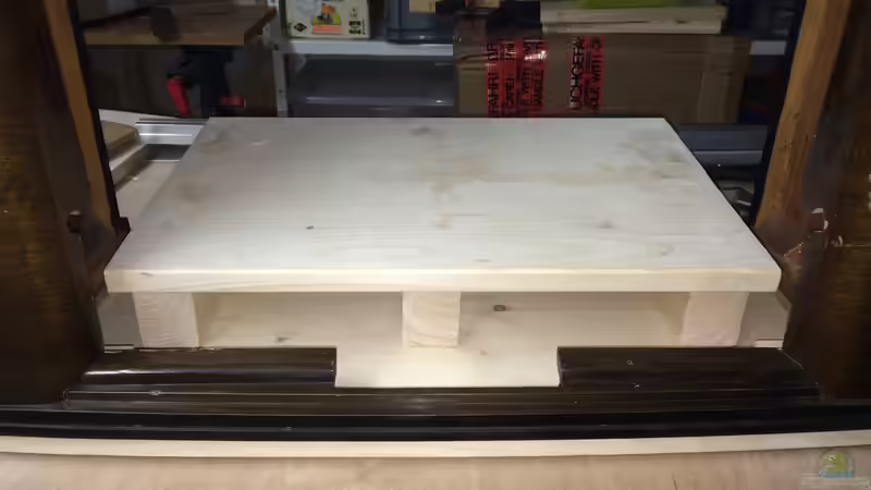 ´Podest´ für´s Aquarium von Hanse-Hannes (9)