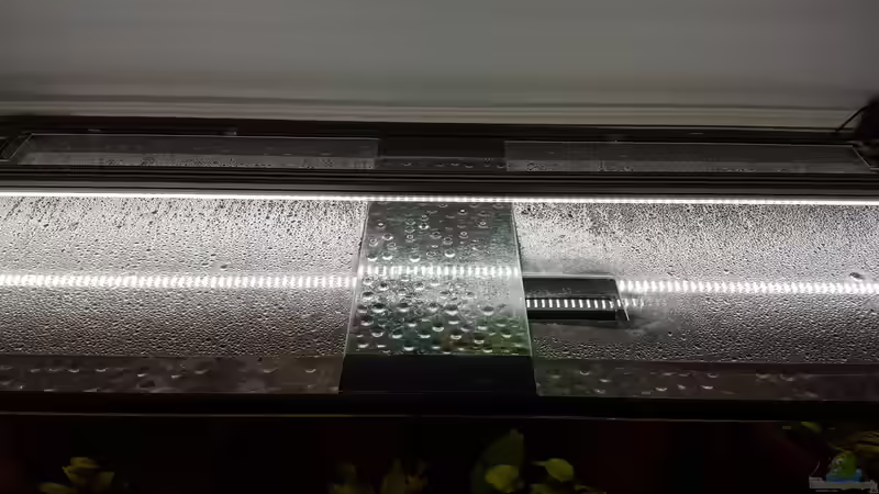 Polystyrolplatten-Futterloch von Johannes L. (8)