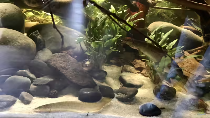 Pommes und Mädchen von NaMo (32)