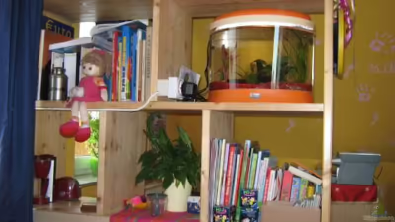 Position des Beckens im Raumteiler von Jens Kaufmann (2)